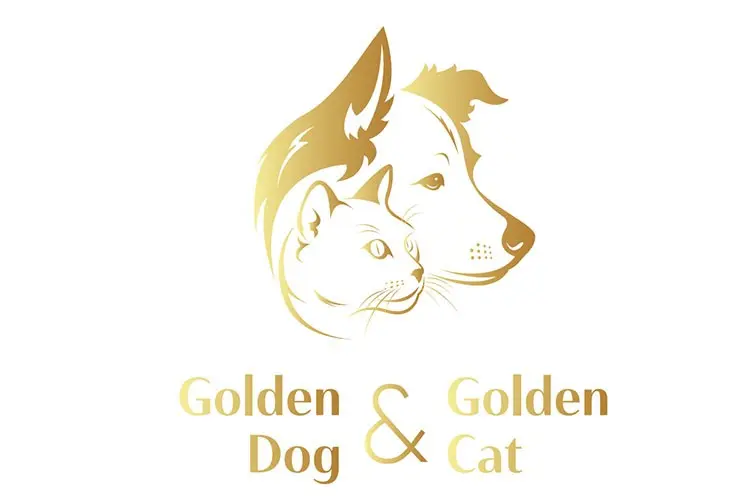 Golden Dog & Golden Cat